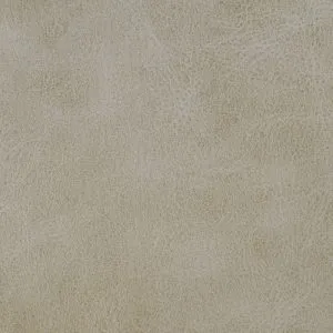Vista 1