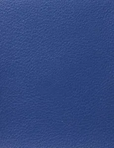 Vista 1